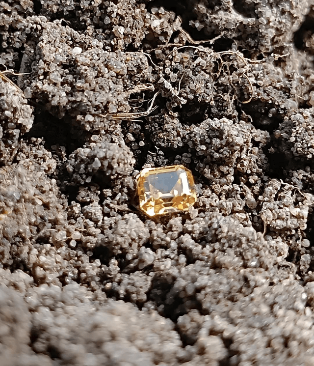 Zircon Jaune du Sri Lanka Taille Octogonale 0,75 carat