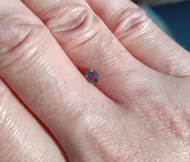 Grenat Couleur Changeante Taille Ovale 0,655 carat