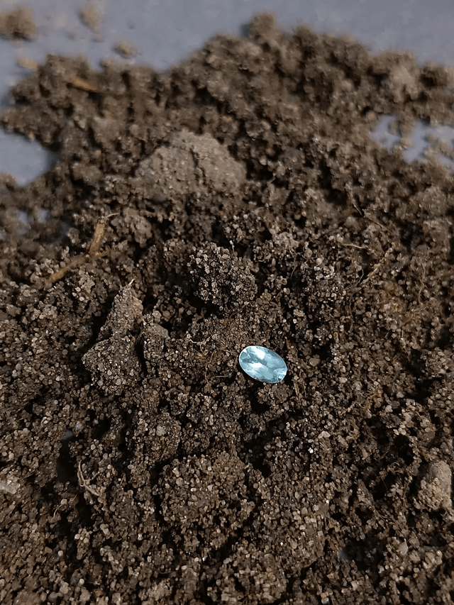 Aigue-marine Taille Ovale 0,42 carat